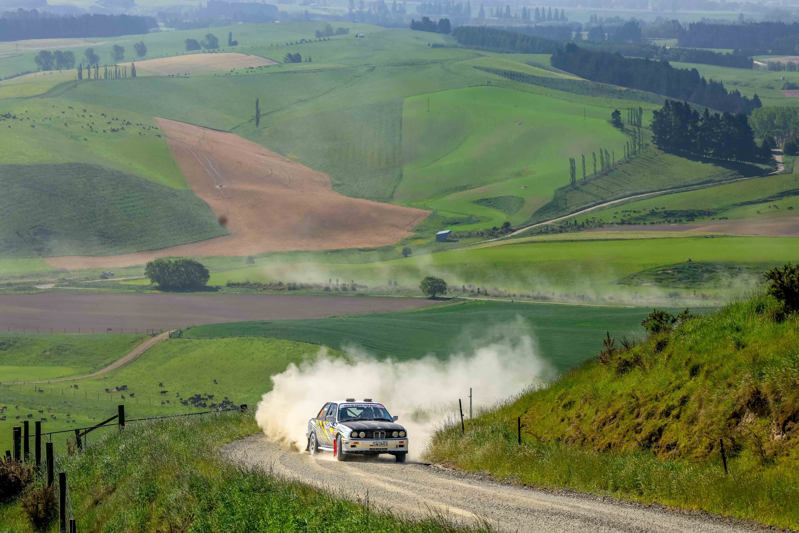 Service park camaraderie